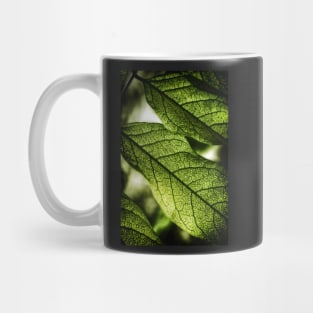 Green Leaf Veins Mug